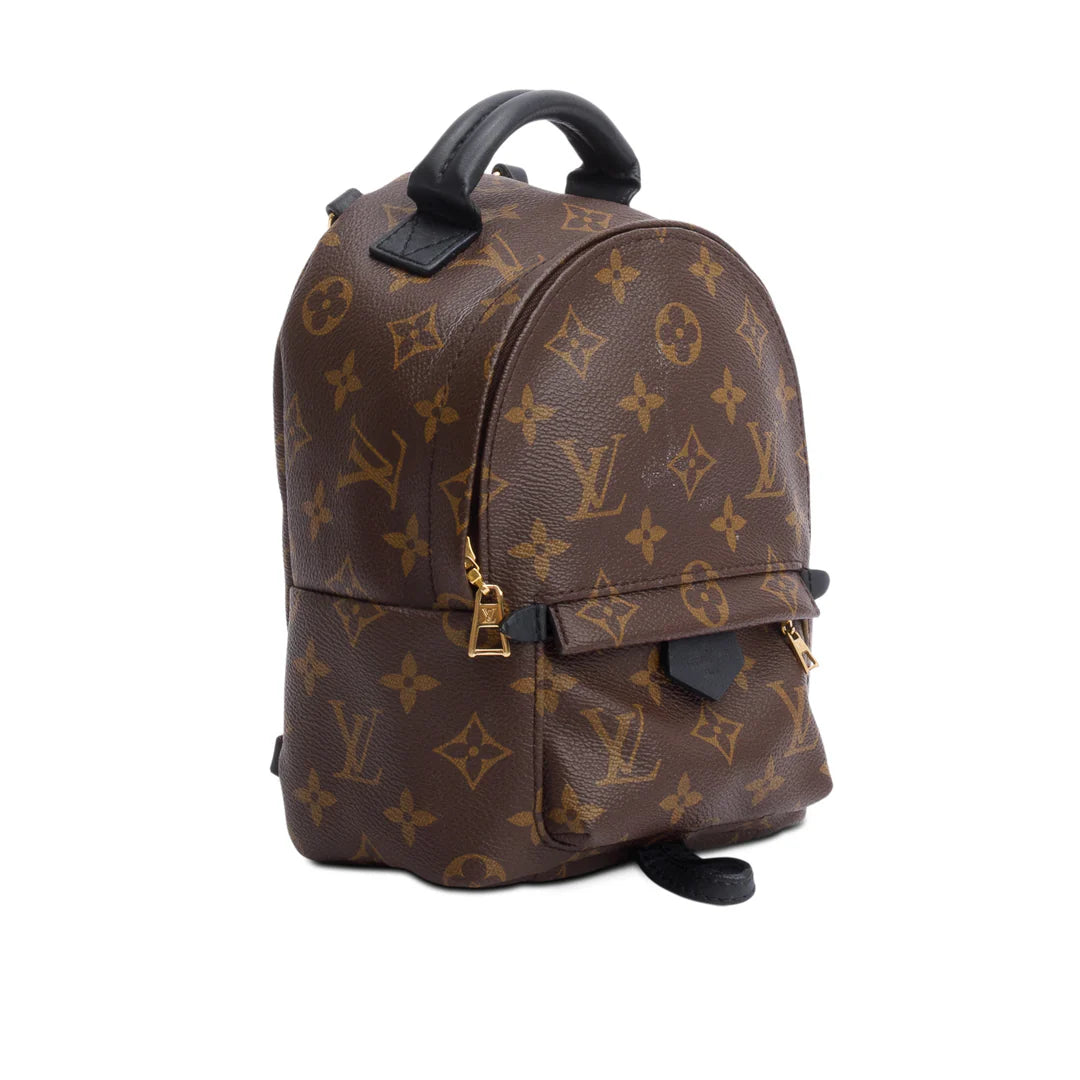 Monogram Palm Springs Mini