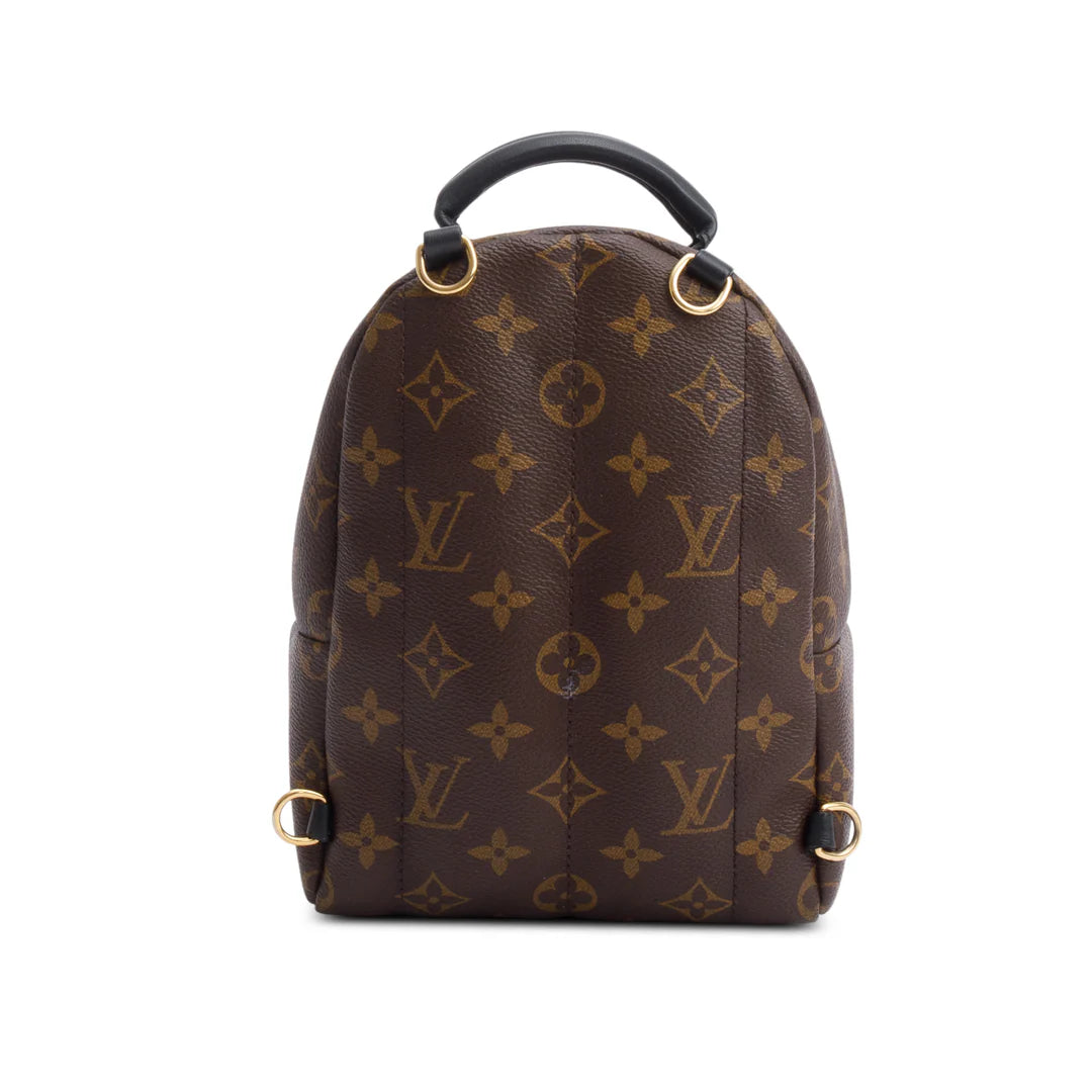 Monogram Palm Springs Mini