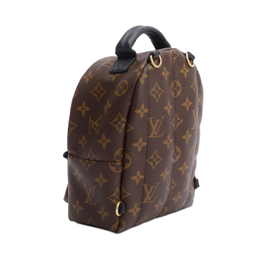 Monogram Palm Springs Mini