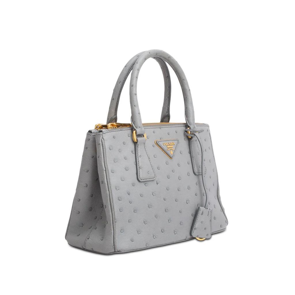 Grey Ostrich Leather Small Double Zip Galleria