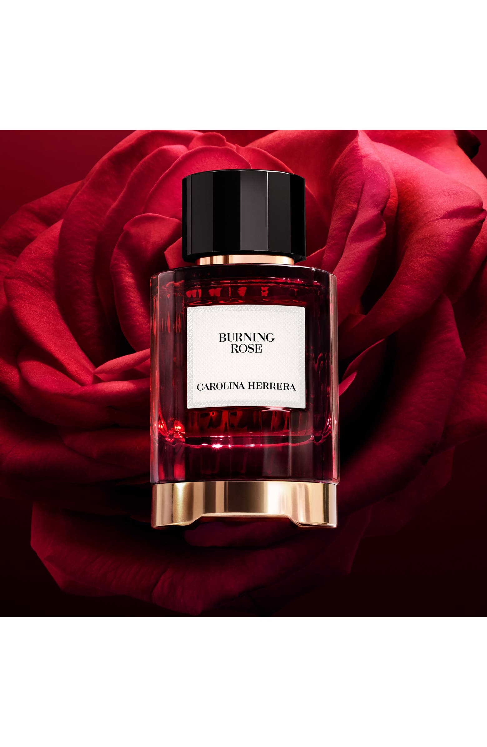 Burning Rose Eau de Parfum