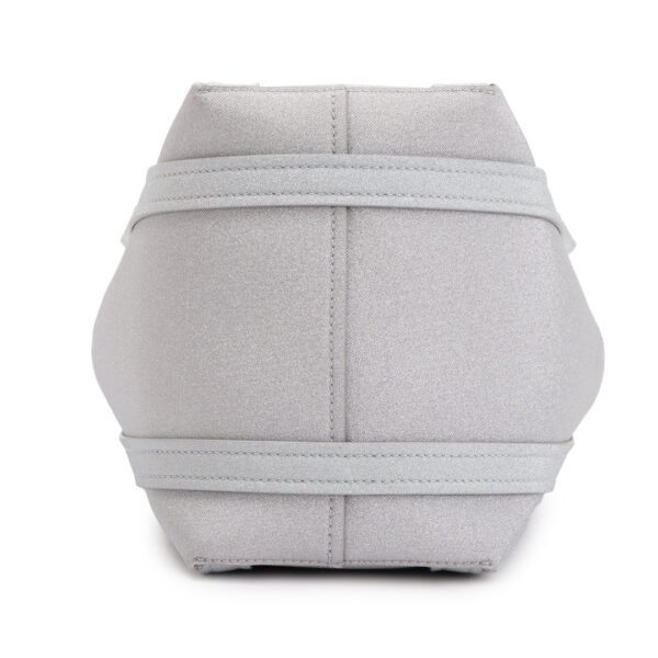 Silver Sparkling Fabric Everyday XS North-South Tote w/ Box