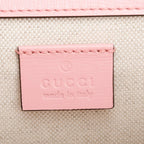 Red/Pink Bicolor Calfskin Leather Small Dionysus Shoulder Bag