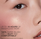 Talc-Free Powder Blush