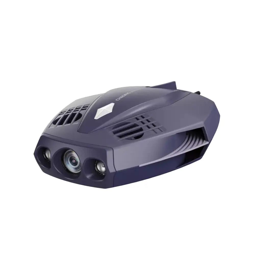 Chasing Dory Explore (Deep Purple)