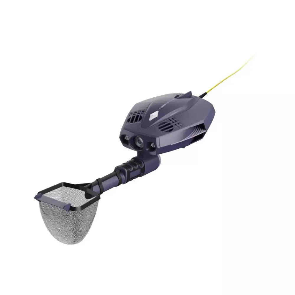 Chasing Dory Explore (Deep Purple)