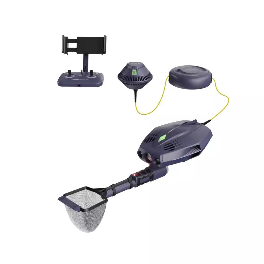 Chasing Dory Explore (Deep Purple)