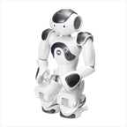 ZoraBots Nao V6 w/ Zora Solution